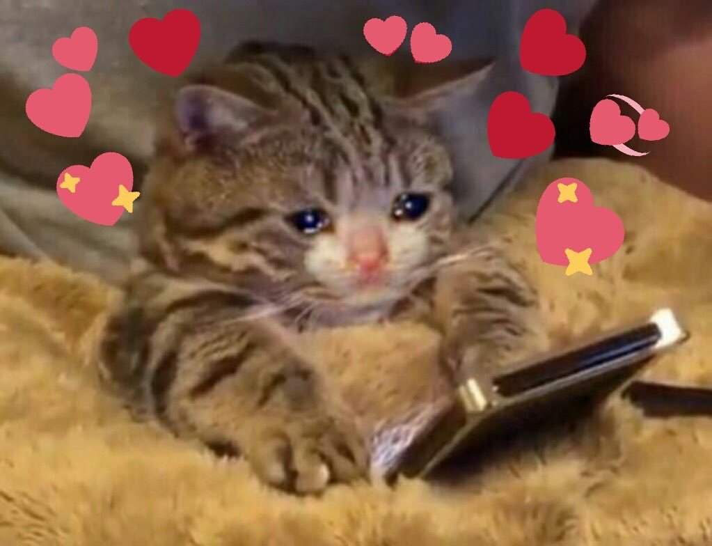 name lol tweet media