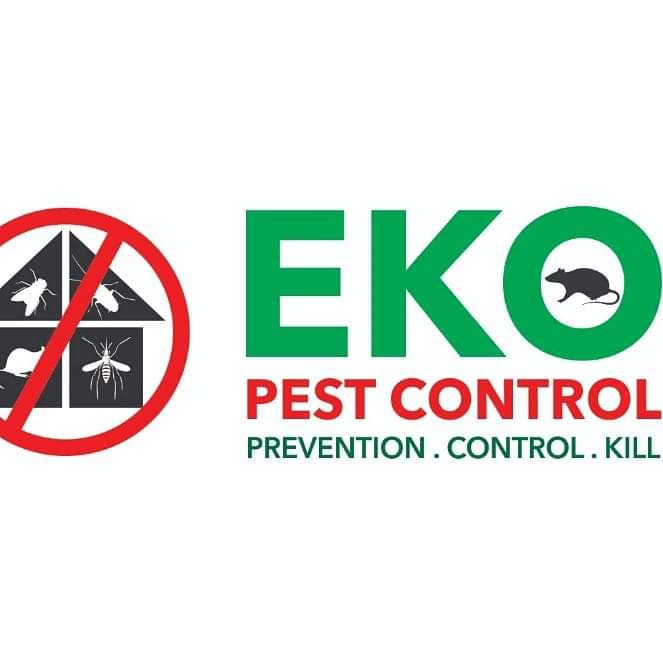 EKO PEST CONTROL (MoversEko) Twitter