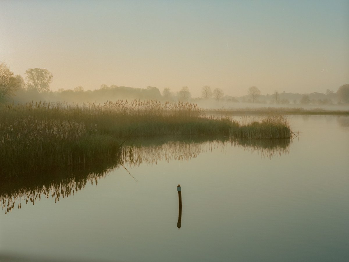 FilmMoreno's tweet photo. Calmness https://t.co/57xw4F5VxP