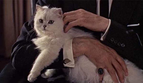 Juanma Rodríguez 🇪🇦 tweet media