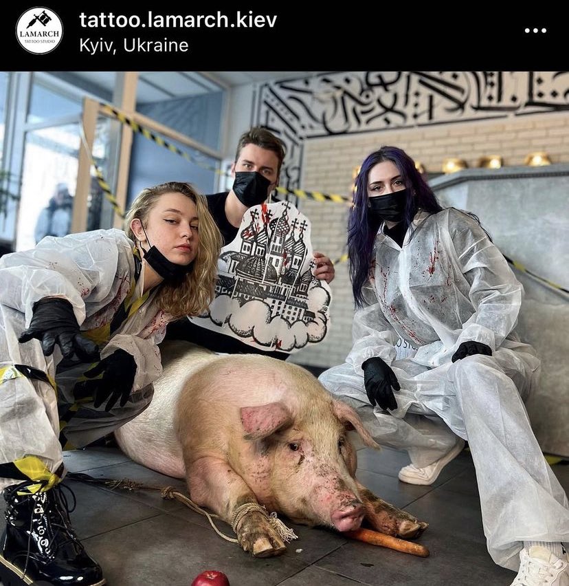 soocriingee's tweet photo. ЭТО ПИЗДЕЦ 
В Киеве далбаебы с тату салона tattoo.lamarch.kiev притащили в салон живую свинью и сказали что сделают тату на ней. В Украине действует закон за жестокое обращение с животными, поэтому зоозащитниками уже было подано заявление на это место и этих «мастеров» ⬇️ https://t.co/86OTrSHlhj