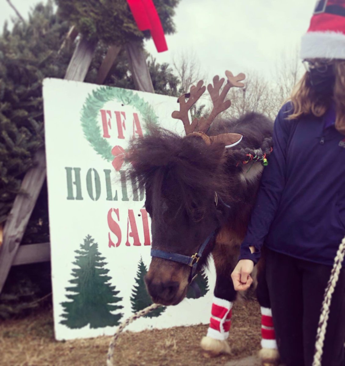 valley_ed's tweet photo. Thunder &amp; Sneakers visited the Holiday store today! 🌲 @hvrhs https://t.co/mmdf3YUFHf