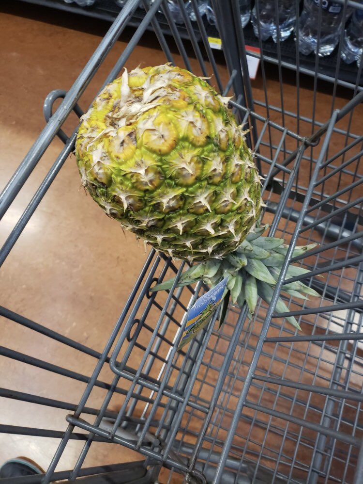 Diana Y Leo tweet media