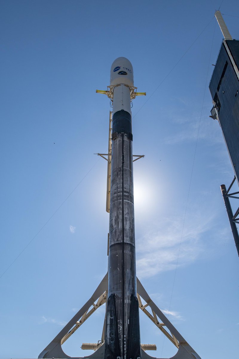 SpaceX tweet picture