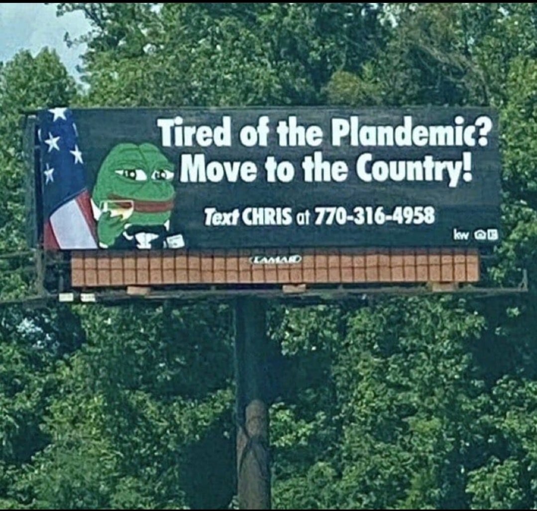 bufotoad1's tweet image. 