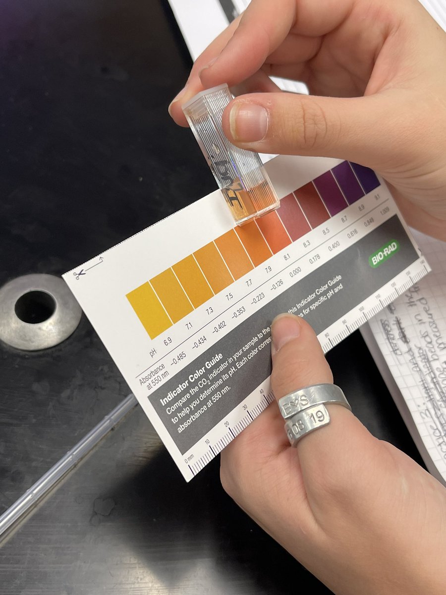 AP bio used algae beads to measure the rates of photosynthesis and cell respiration in class today! @Interboro_SD @ISD_AP_Lytz