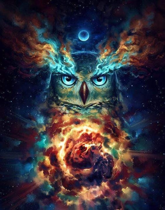creatrix_lab's tweet image. The owl represents wisdom, protection, and intuition. 

The owl calls to release the past and put down the burdens that hold you back. 

It represents a time to face our shadows and our fears to move beyond and find true happiness.
#owlmedicine #meditate