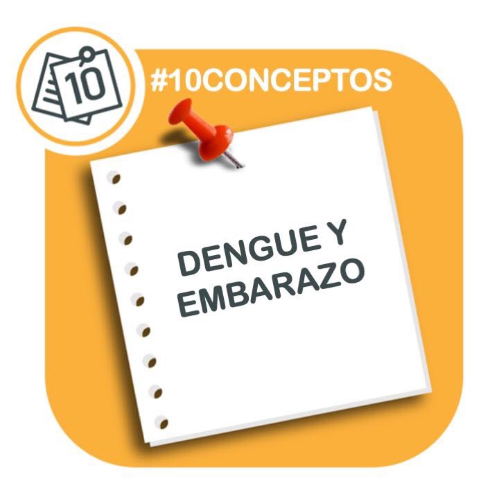 sadiptonline's tweet photo. La Dra. Griselda Berberian, médica especialista en infectología del Hospital Garrahan, nos resume los #10CONCEPTOS que considera más importantes sobre Dengue y Embarazo.
¡No te lo pierdas! https://t.co/U56xmxjNuV