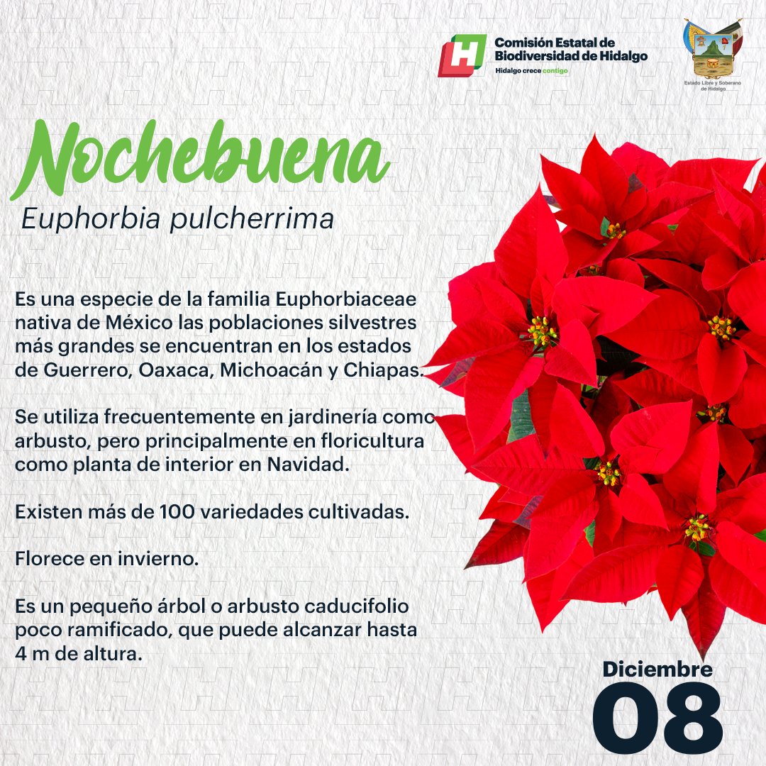 COESBIOH Hidalgo on Twitter: COESBIOH Hidalgo on Twitter: