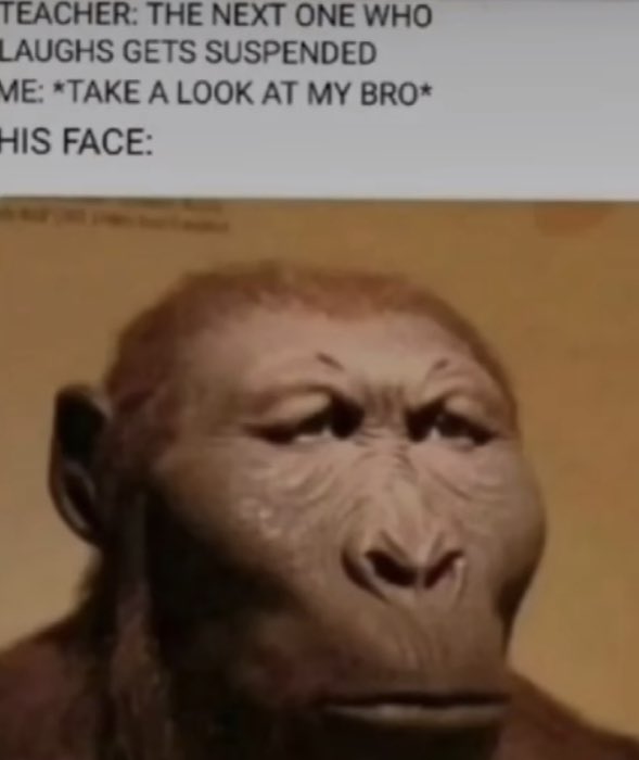 OvOBrezzzy's tweet photo. I been laughing at this for 20 mins now😭 https://t.co/PRouB2e1Ji