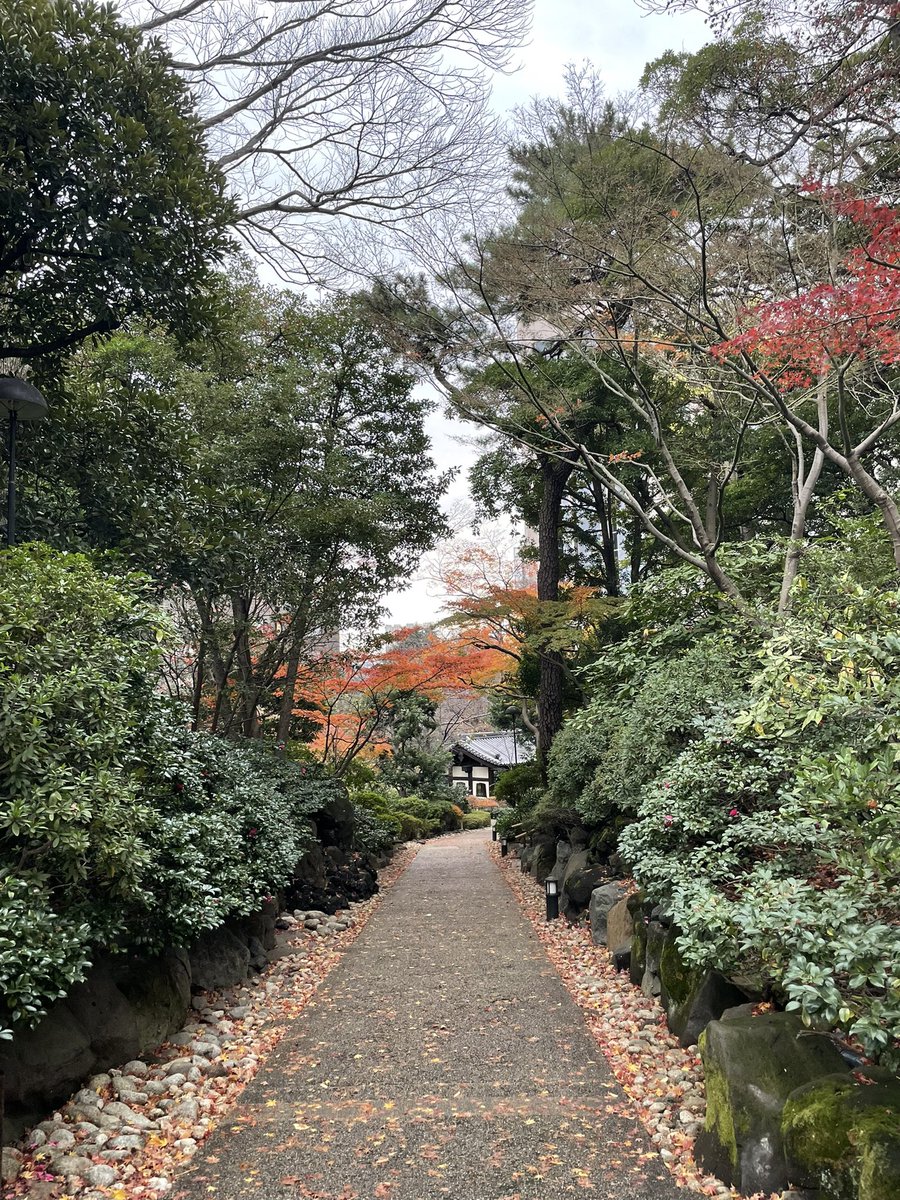 Tokyo_RiC's tweet photo. 出張 https://t.co/am42xzozNR