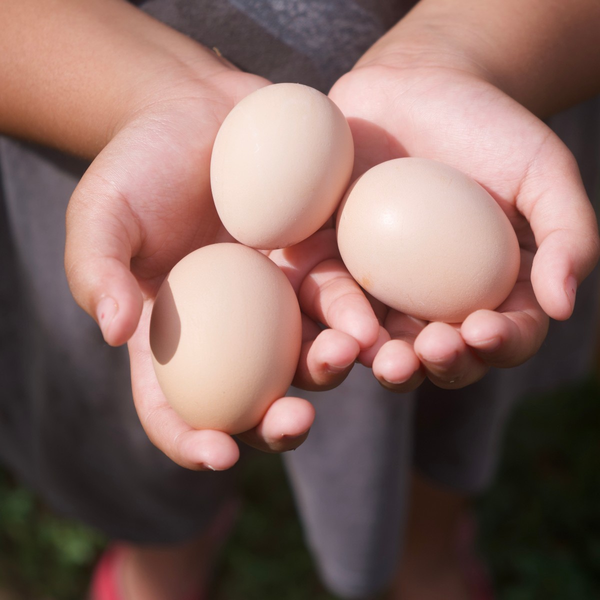 Use pasteurized eggs whenever a recipe ask for raw eggs to prevent the spread of foodborne illness this holiday season. Follow Deibel Laboratories on our other social media sites for more holiday food safety tips. #deibel #deibellaboratories #foodbourneillness #holidaysafety