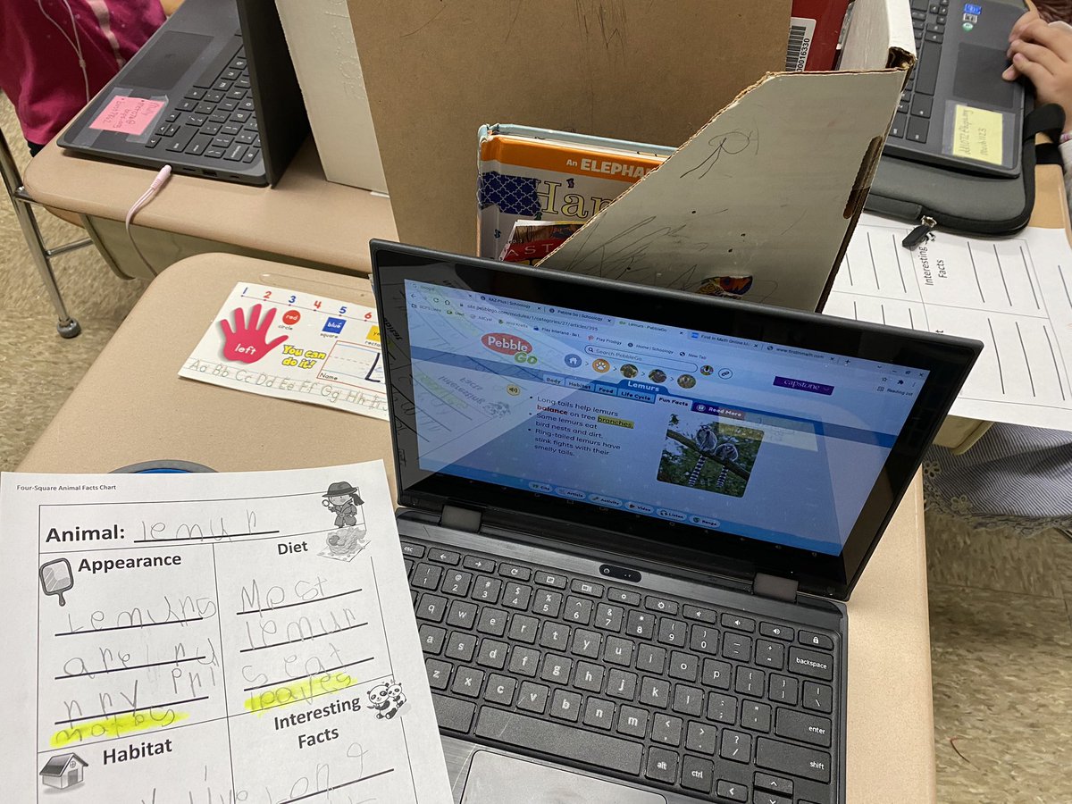 Rachel Noto tweet media