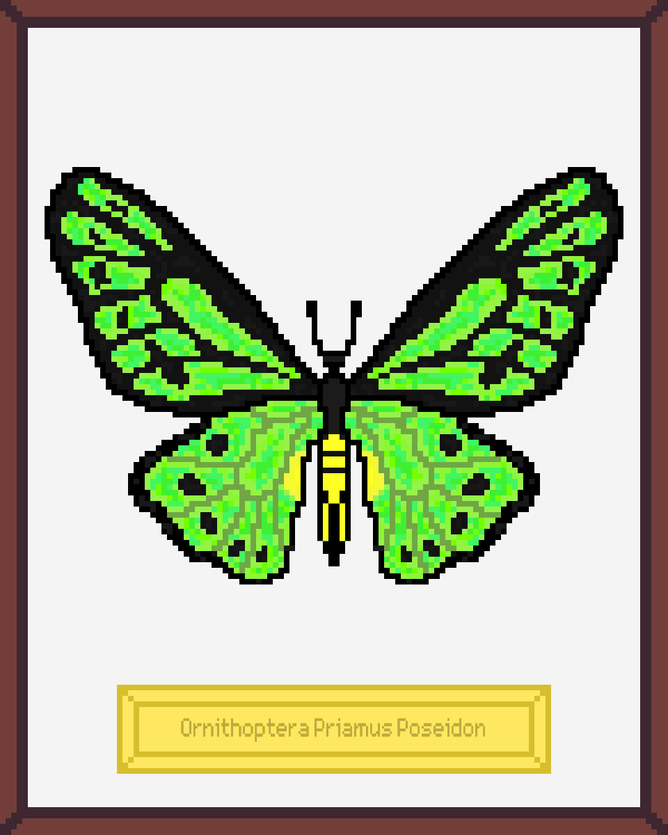 ButterfliesNFTs's tweet photo. 🦋🦋🦋The Butterflies Museum is a collection of 500 handcrafted  #NFT real butterflies created in collaboration with @bit_colors📢Now on  @opensea
 
https://t.co/NhtOihWmar

Discord for more information https://t.co/kzBMldWS5Z

#NFTs #NFTCommunity #nftcollector https://t.co/1r8rGTaXBI