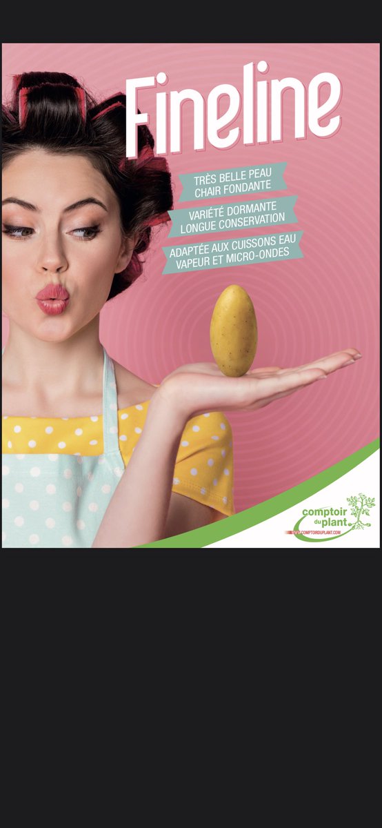 L’équipe Comptoir du Plant SAS accueillait ce 8 décembre ses producteurs, clients et partenaires autour des variétés de pomme de terre. Participation record, très bons échanges autour des nouveautés et très bon accueil de nos nouveaux supports de communication.