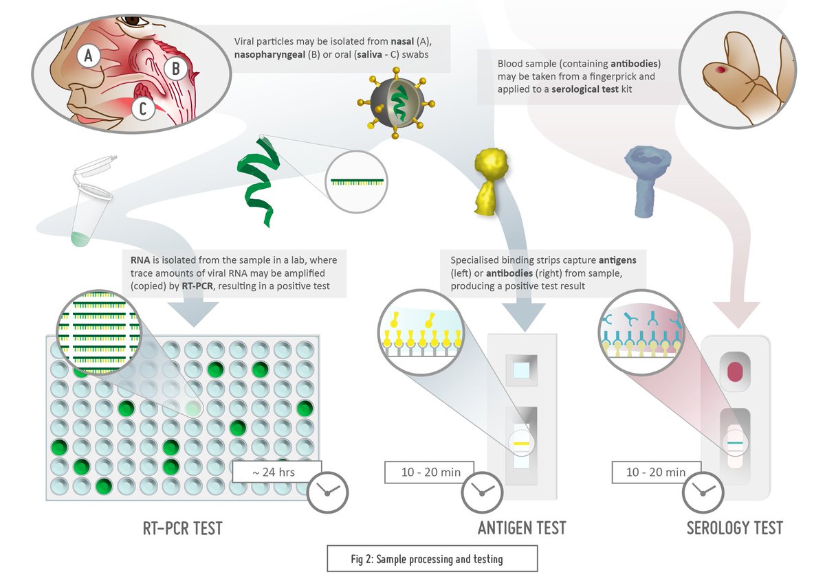 "We need to stay on top of the evolving diagnostic landscape to ensure our COVID-19 management strategy continues to be world-leading" - BioPacific Insights presents an analysis of current testing and diagnostic trends in Aus/NZ
biopacificpartners.com/insights/covid…