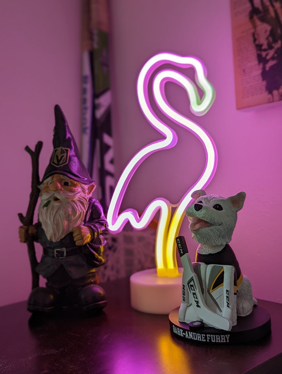 Our <a href="/BarkAndreFurry/">Bark-André 🌈</a> bobble head arrived just in time for the game tonight!

You can also purchase Pawkey Dog boxes to give to kids in the hospital where he does amazing therapy dog work. 💙

Also pictured 🦩: <a href="/VGKFlamingo/">Victory Flamingo🦩</a>