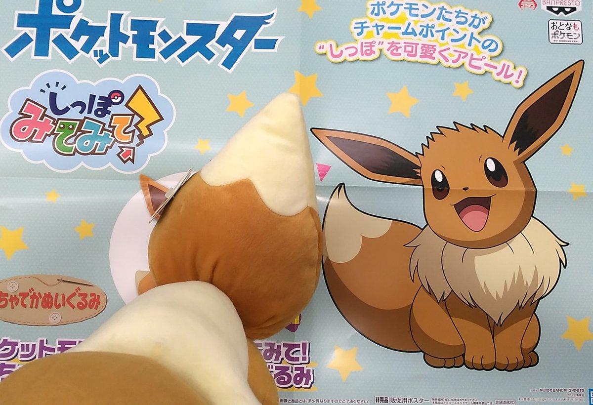 ポケモンレースミニ 26日までセール中☆ポケモンレースミニ ポケモンミニ ※箱の裏側