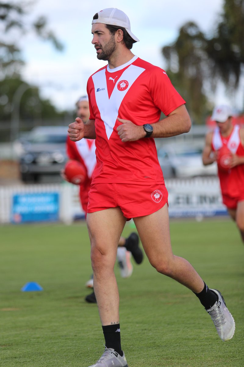 NorthAdelaideFC's tweet photo. Our new @PUMA training apparel has arrived 🐓 https://t.co/x7YQu8qxWV