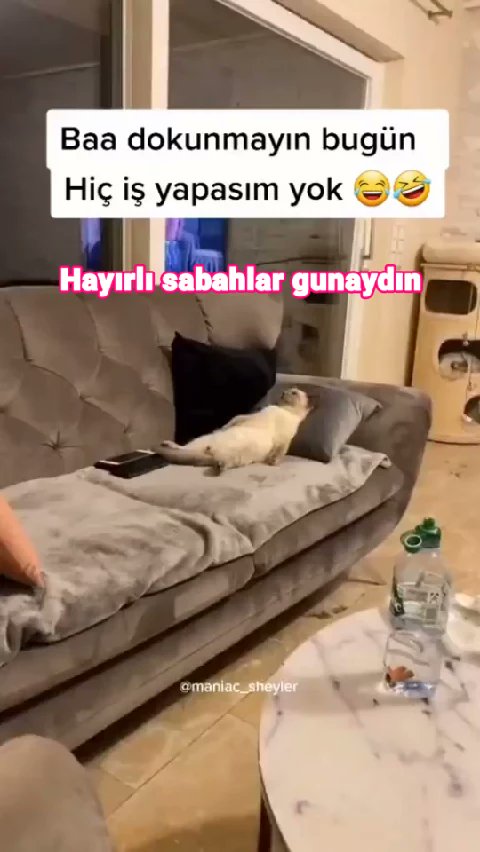 hulya_kibaroglu's tweet photo. Hey, işte seveceğin bir video video👇🏻👇🏻, senin için buldum, gel bir göz at! 😎😎 #Likee #HelloLi #LIKEEap https://t.co/Y0Y2ReyMoF https://t.co/ZUMWadYQGe
