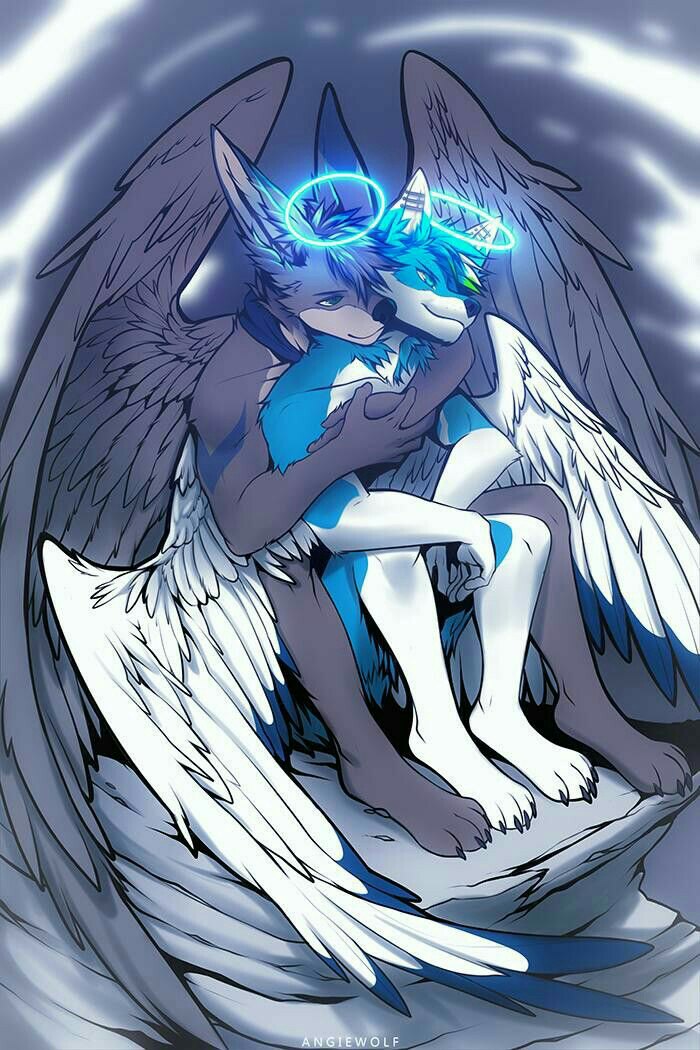 Mixxrh's tweet photo. #фурри #furry хи https://t.co/acrYouYPT3
