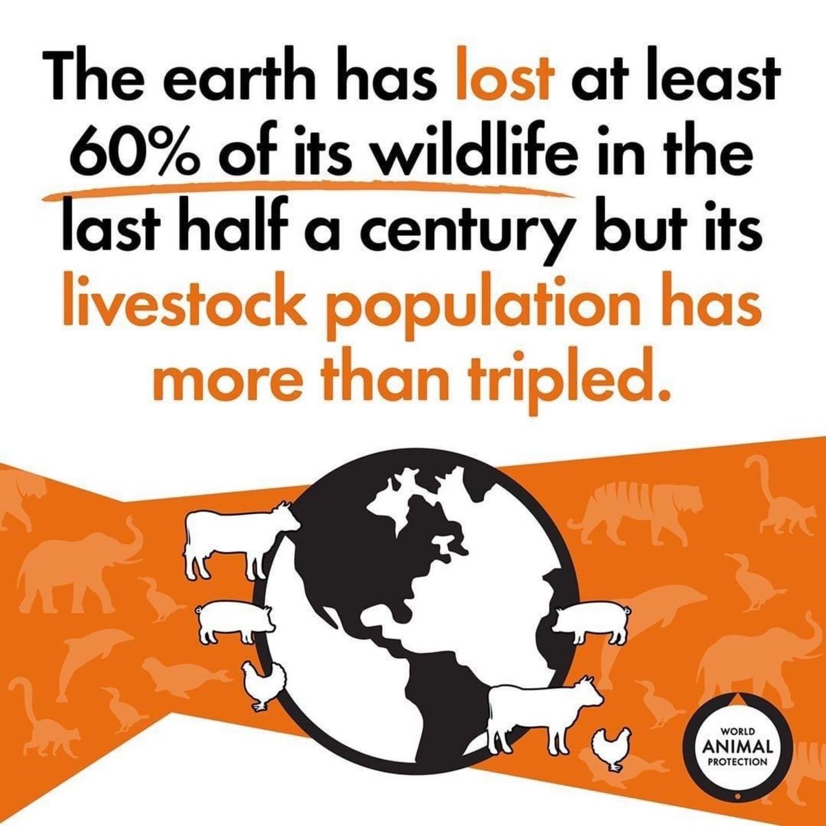 RepublicofNatu1's tweet photo. #nature #environment #algae #sustainabledevelopment #greentechnology #carbonemissions #plasticpollution #ocean #earth #recycle  #human #forest #trees #wildlife #renewableenergy  #climatechange #globalwarming  #watercrisis #climateaction #biodiversity #icesheet https://t.co/vND283eWJv
