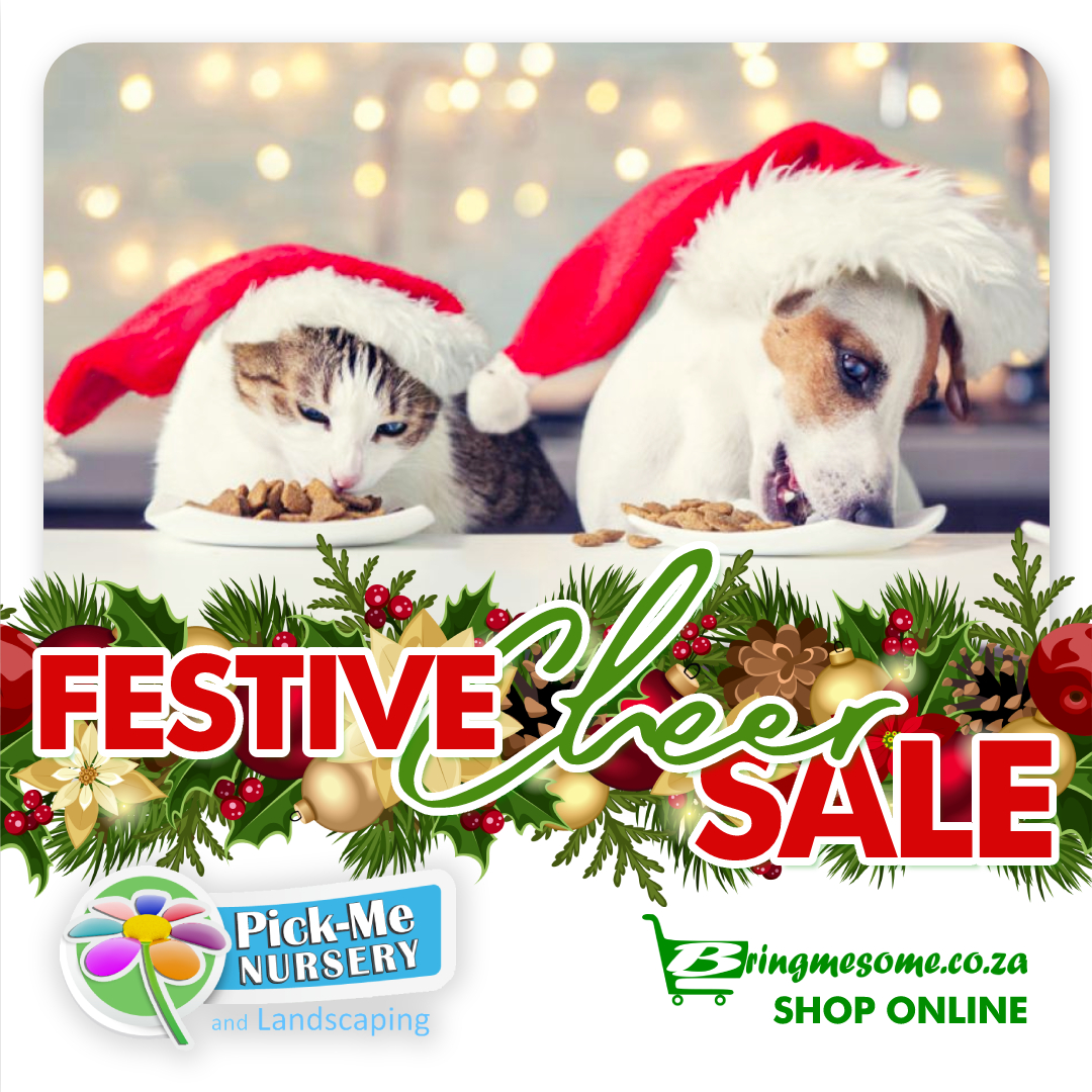 BringMeSomeSA's tweet photo. Our 𝑭𝒆𝒔𝒕𝒊𝒗𝒆 𝑪𝒉𝒆𝒆𝒓 𝑺𝒂𝒍𝒆 will add some shine to your pets' Christmas!
20% Discount on our best selling and highly rated petfood brands

Get all your products at @PickMeNursery  , 30 Peter Rd, Tres Jolie, Roodepoort

#sale #petfood #gardening #plants #flowers #garden https://t.co/hDJNyWQLse