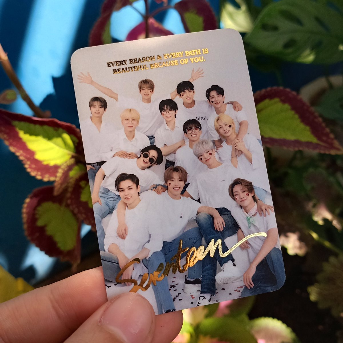 jcksnwng__'s tweet photo. ang totoo nyan jeonghan lang yung sakin dito e hahaha di ko na alam bat biglang ang daming kasabay umuwi 😂 

thank you so much @BearPocketPH for these 🤍 hanggang sa susunod na budol. ang ganda nung freebie na pc, deserve ng natural lighting 🤭😍 하니해!! #BearPocketFeedback https://t.co/trVw44qP3p