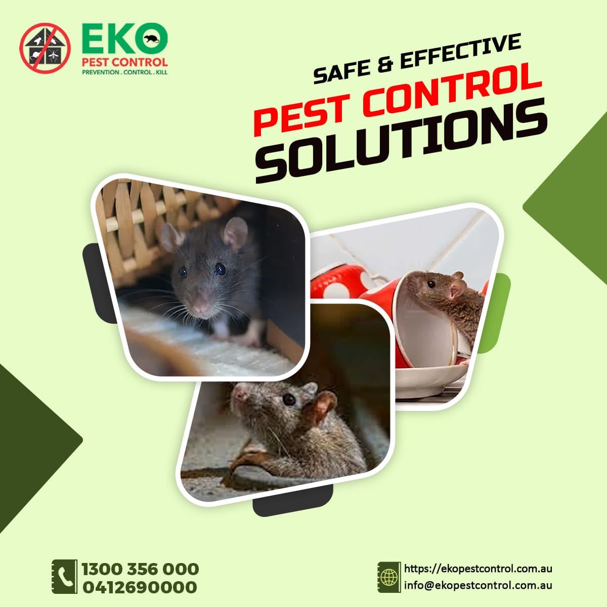 EKO PEST CONTROL (MoversEko) Twitter