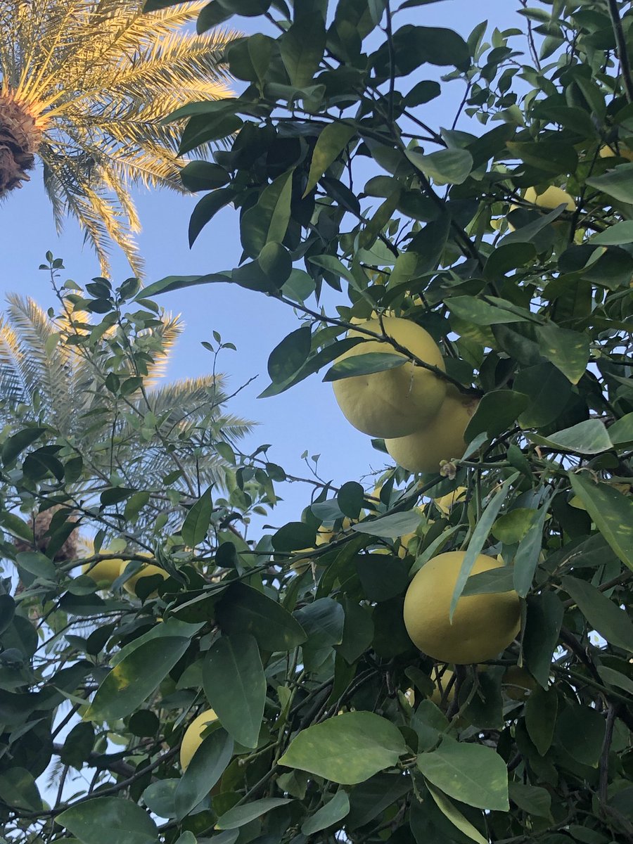 I had friends tell me today that it’s getting cold. Of course that is true and even painful in some places. Yet others have the hope you see here on which to rebuild. If we’re discouraged or see others struggling, do we help them see their picture of hope? #warmth #positivevibes