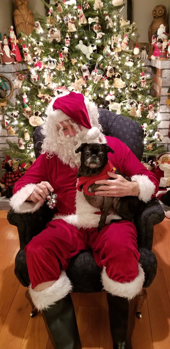 MisterPemberto1's tweet photo. A2...I gave Santa my Christmas list over the weekend πππ
π
π
π
#santapug #santapaws #pugchat https://t.co/HthmVVRmLj
