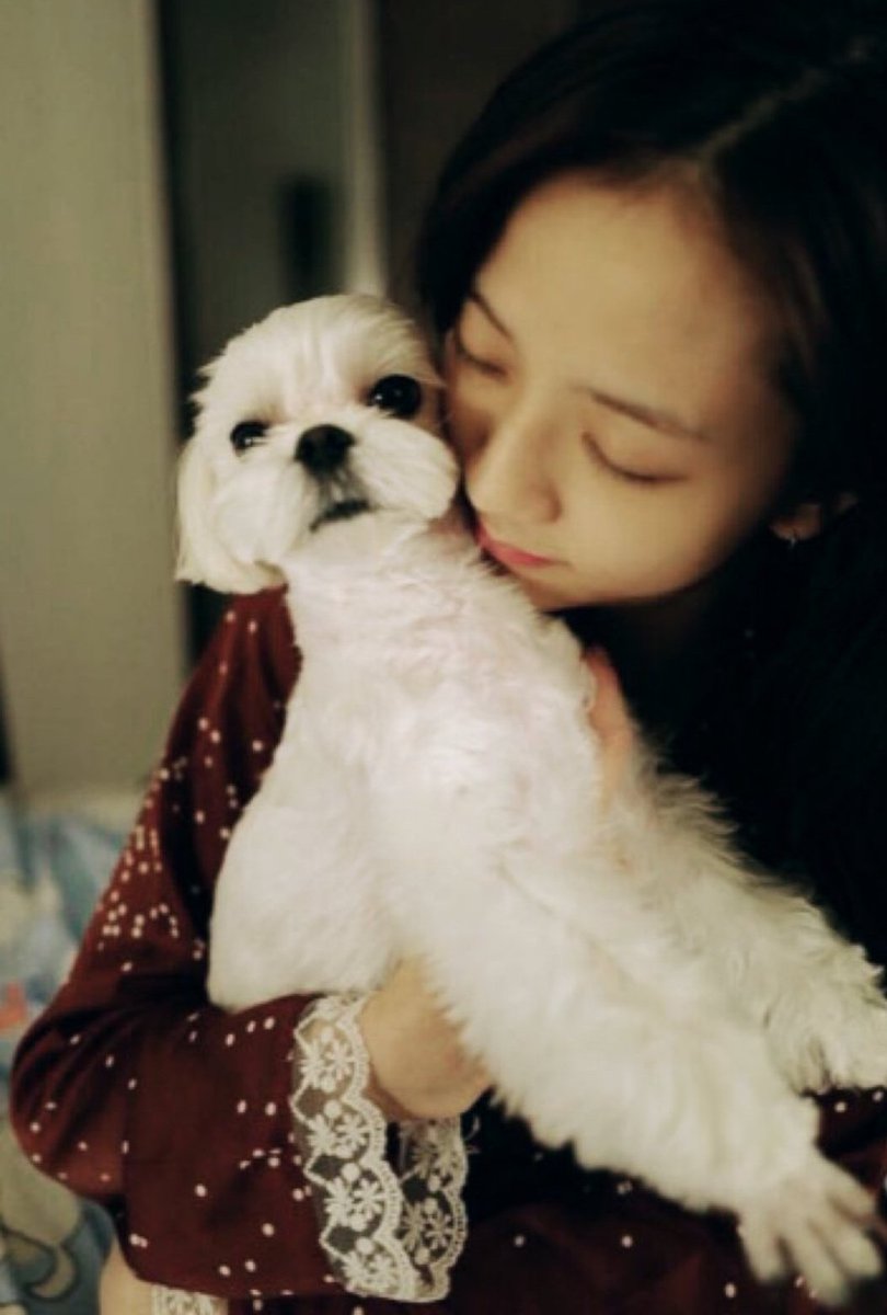 blackpinkzip's tweet photo. https://t.co/C2HVU5H8Ot