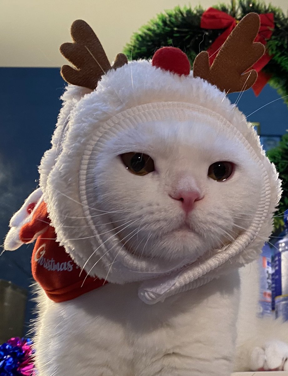 Last Christmas I gave you my heart 💔