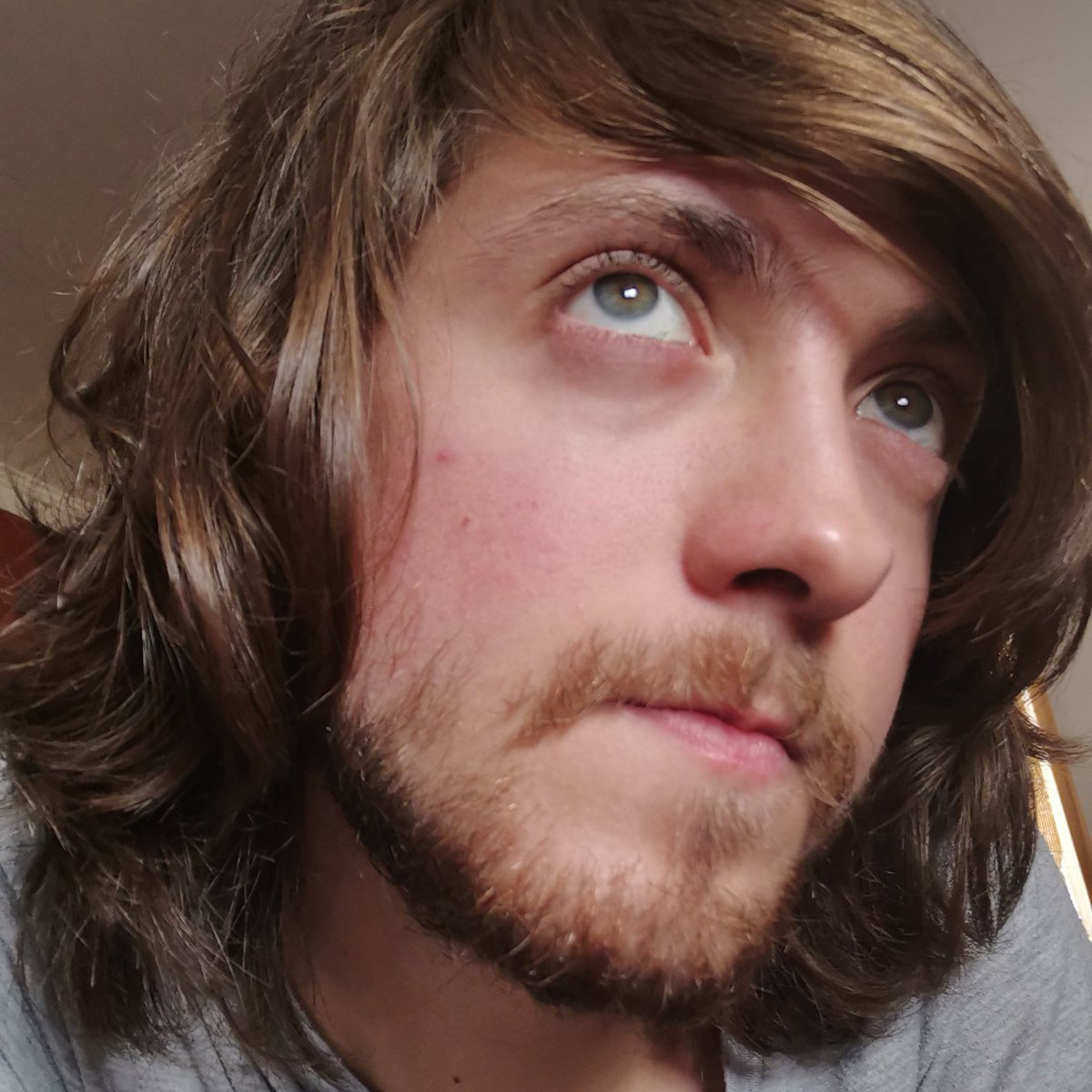 CosmeSignoret's tweet image. #NewProfilePic