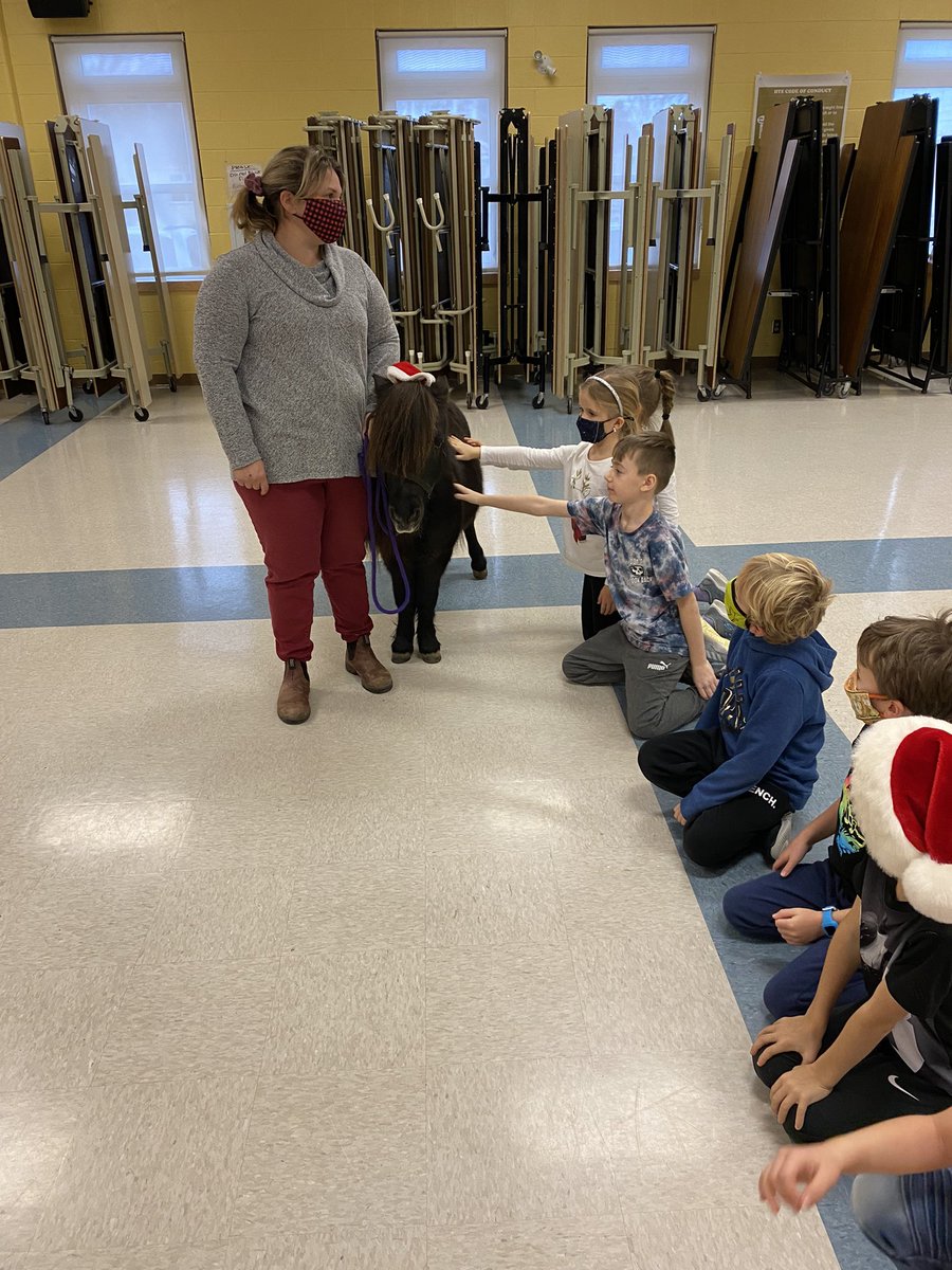 MmeBarry2FI's tweet photo. Liberty from @SpiritHorseNL came to see us today! Did you know you can book a time to go see all the animals at their farm for free?! 🐴 @HTE_K4 https://t.co/wkCKt6rKS2
