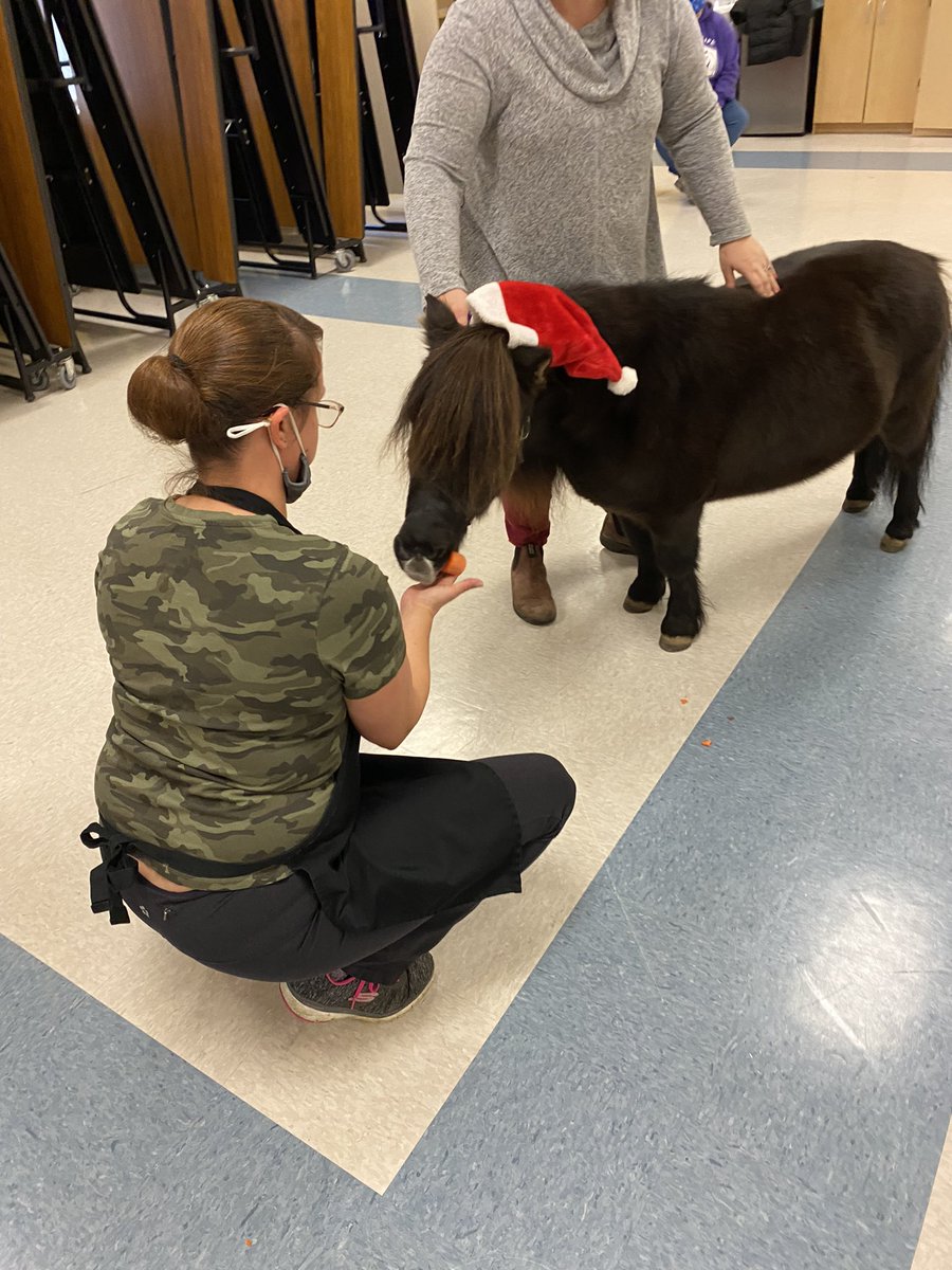 Liberty from <a href="/SpiritHorseNL/">Stable Life - Leading Mental Health Recovery</a> came to see us today! Did you know you can book a time to go see all the animals at their farm for free?! 🐴 <a href="/HTE_K4/">HTEK4</a>