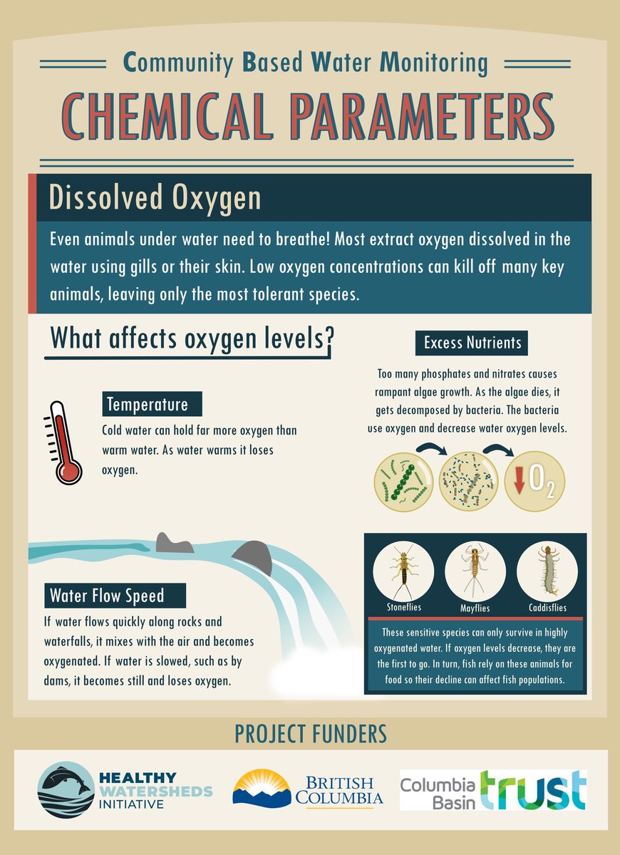 ElkRiverBC's tweet photo. Dissolved oxygen is vital for many organisms. Find out what affects oxygen levels! 

Project funding by: @TheTrustInfo @HealthyWatersBC and the BC Government 

#science #scitwitter #infographic #biology #ecology #ecosystem #bc #britishcolumbia #conservation #academicchatter https://t.co/3zcmWkyFzQ
