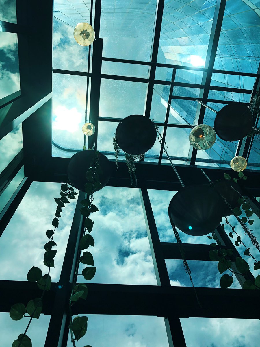 Zm108Melbourne's tweet photo. I lost ETH 😭 on transit from Phantom wallet to https://t.co/VO6hqIMm2k  F**k! Calming my sanity, this sky garden on 70th floor. https://t.co/4ObzgASqtp
