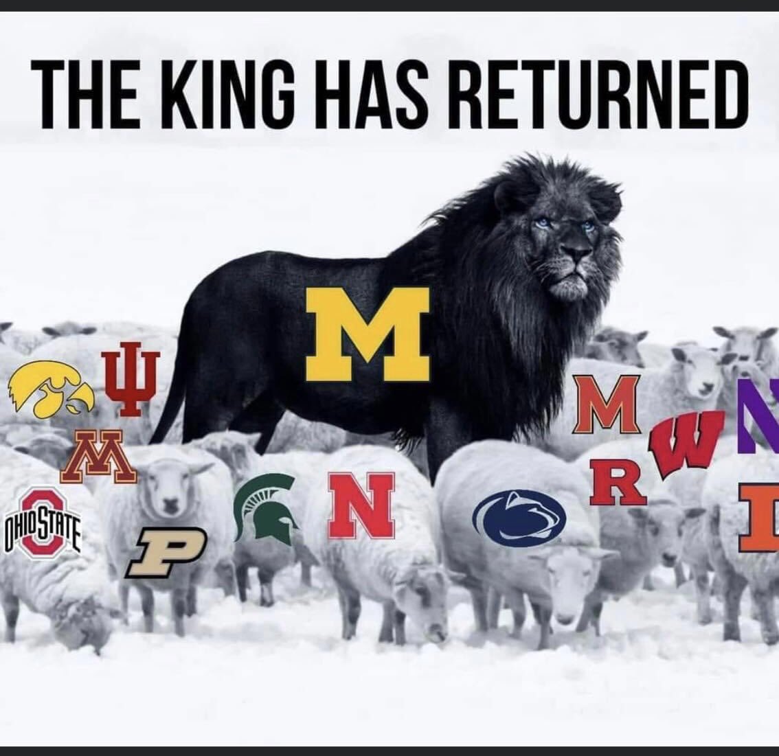 Buckeye_Jack's tweet photo. Gonna file this with the revenge tour tee shirt for reference this next November https://t.co/zaMzlzXERQ