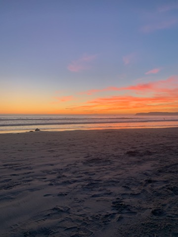 FrancoiseNetter's tweet image. “The most #beautiful experience we can have is the #mysterious.”—Albert Einstein
#BodyMindDynamics