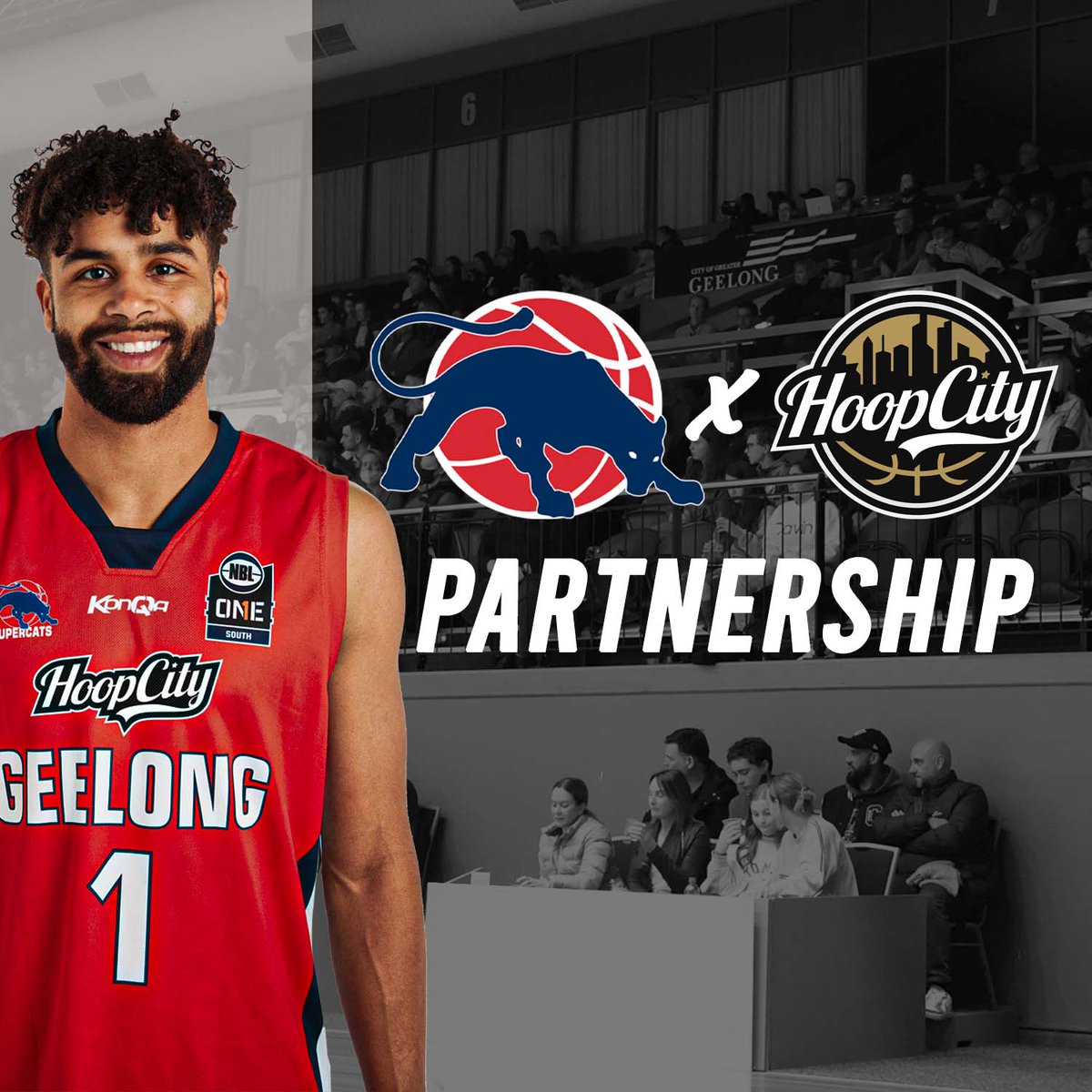 GeelongUnitedBasketball tweet media