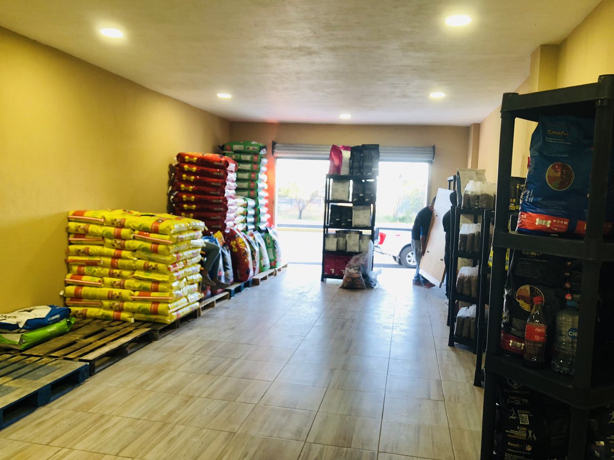 reyroga21's tweet photo. Ya casi todo listo para inaugurar una tienda más 
De mascotienda.
Ahora le toca a el salto jalisco.
https://t.co/BS74UH5mlf 🐾🐈🐈‍⬛ https://t.co/I8VaEzAfN6