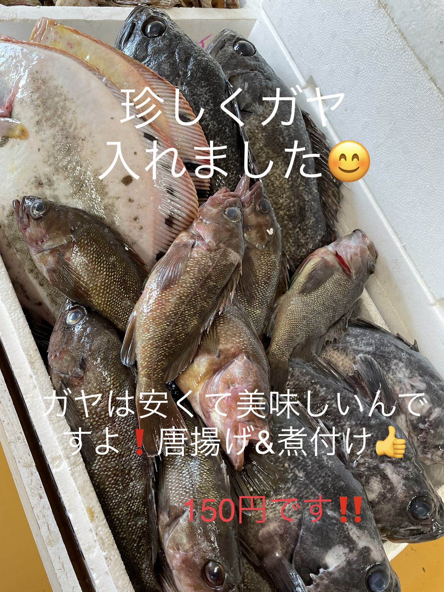 Np 63 Np632 Twitter