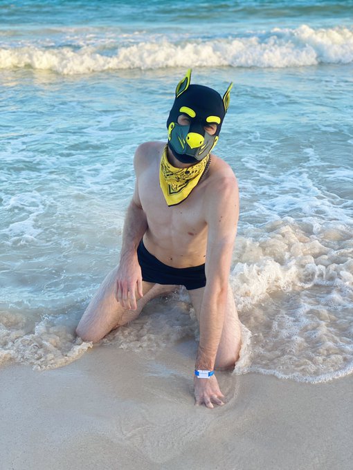 PUPPY ON THE BEACH DO DO DO DO https://t.co/xiASgKLhsy<a href="/tag/blowjob"class="tags"><span>#blowjob</span></a><a href="/tag/gayporn"class="tags"><span>#gayporn</span></a><a href="/tag/humanpup"class="tags"><span>#humanpup</span></a>