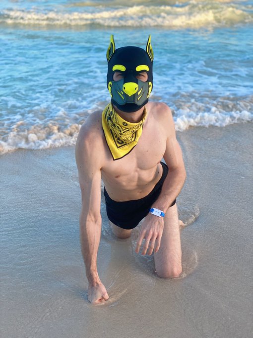 PUPPY ON THE BEACH DO DO DO DO https://t.co/xiASgKLhsy<a href="/tag/blowjob"class="tags"><span>#blowjob</span></a><a href="/tag/gayporn"class="tags"><span>#gayporn</span></a><a href="/tag/humanpup"class="tags"><span>#humanpup</span></a>