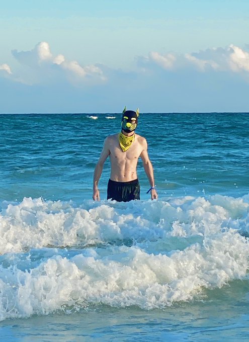 When they ask if the dog is good in the water&hellip; https://t.co/DKWqHSKiQV<a href="/tag/gayporn"class="tags"><span>#gayporn</span></a><a href="/tag/analdildo"class="tags"><span>#analdildo</span></a>