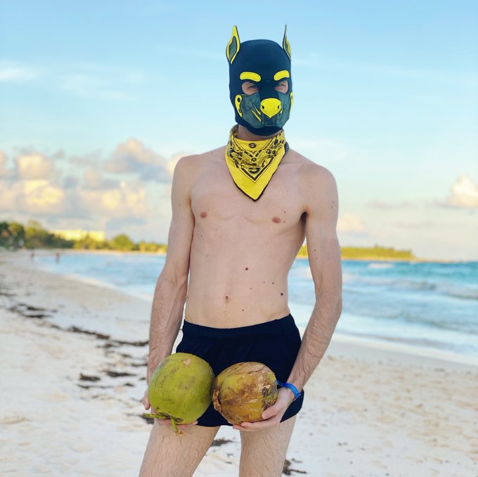 Ponder this puppy&rsquo;s orbs??? https://t.co/IJ0rbcuvJ6<a href="/tag/gayporn"class="tags"><span>#gayporn</span></a><a href="/tag/humanpup"class="tags"><span>#humanpup</span></a>