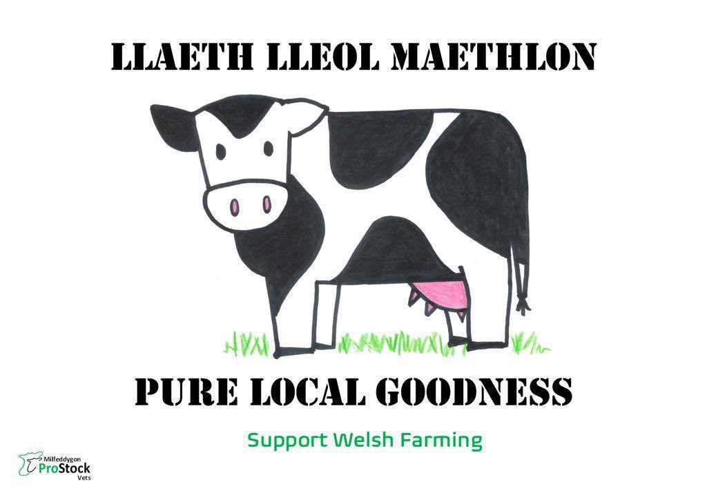 Anuschka Marsman (@anuschkamarsman) on Twitter photo 