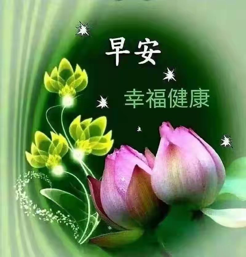 lsl3509's tweet photo. 鲜花可以再开，人生没有重来，互相关爱，友情常在，愿我们彼此平安、健康、快乐、吉祥！ https://t.co/ECYsvK98Vj