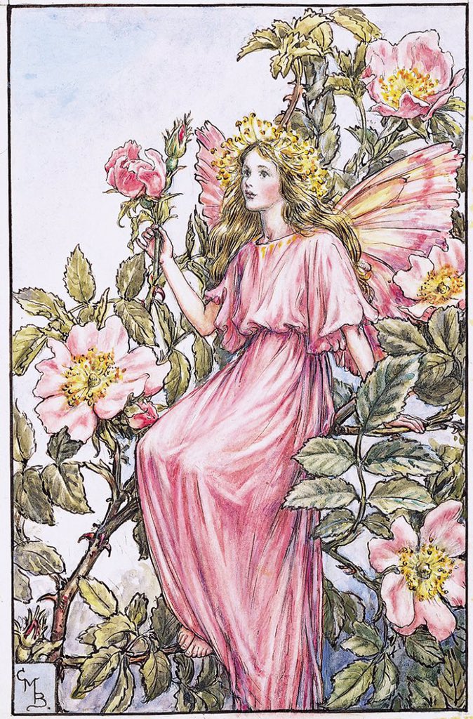 clarbohydrate's tweet photo. if NFT’s looked like cicely mary barker’s flower fairies then maybe crypto wouldn’t suck balls https://t.co/HIxkCld6hh